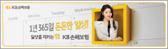 kb손보